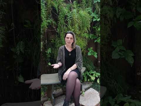 Depoimento em vídeo — Sobre a Clínica
