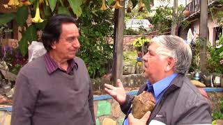 Petrified Human Heart