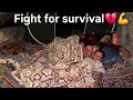 The Power Of A Nomadic Family The Final Battle For Survival In The Zagros