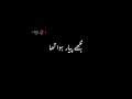 Hey Tamanna Hamen Tumhen Dulhan Banae Black Background Whatsapp Status Blackscreen