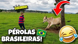AS MELHORES PÉROLAS BRASILEIRAS🇧🇷 | TENTE NÃO RIR 