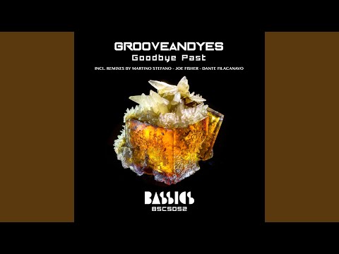 Goodbye Past (Joe Fisher Remix)