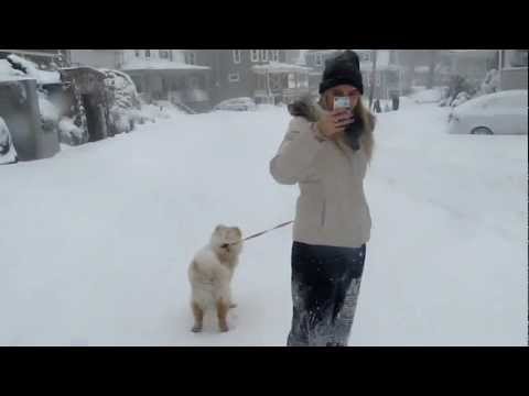 Nemo Blizzard, Swampscott, MA, Feb 2013 - Nevasca Nemo em Swampscott, MA, Fev 2013