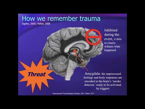 The Neurobiological Benefits of 12 Step Work with Dr. Janina Fisher