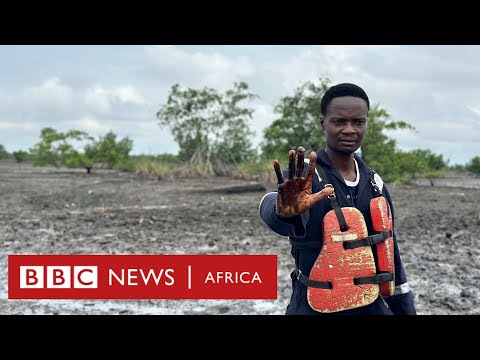 Shell accused of ignoring oil clean-up operation beset by fraud - BBC Africa