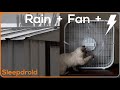 ►Fan Noise | Fan and Rain Sounds for Sleeping | Hard Rain on a Tin Roof | Metal Roof and Box Fan