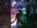 Os Mod Te Chad Gayi Jad Koi Naal Na Khadya Ne