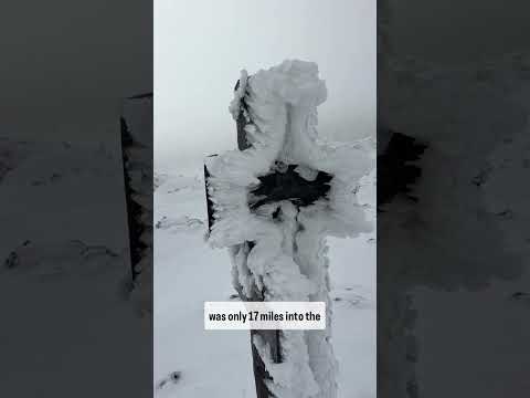 Day 287 of the border to border calendar year triple crown #at #pct #cdt #thruhike