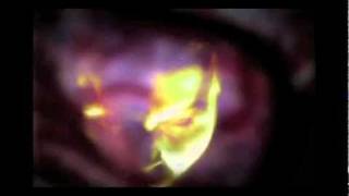 Cattle Decapitation "To Serve Man" (OFFICIAL VIDEO)