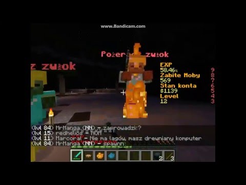 Z tomkiem przez kraine