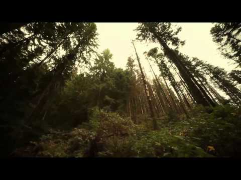 PREZENTARE SIT LARION