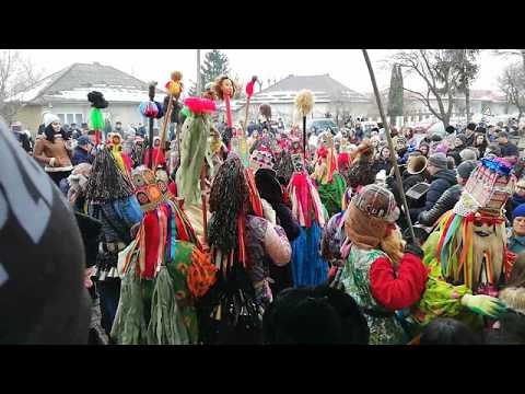 Ursul de la Blăgești, 2018-part 2