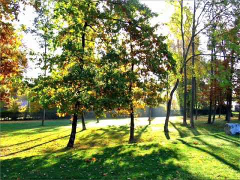 Liquid State feat. Marcella Woods - Falling