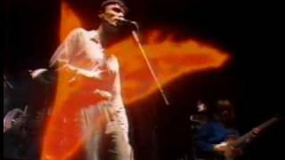 Talking Heads Live Wembley 1982 (10-11) Swamp