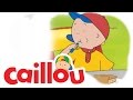 Caillou Shoo Shoo Bird Fly Away S04E15 Videos For Kids
