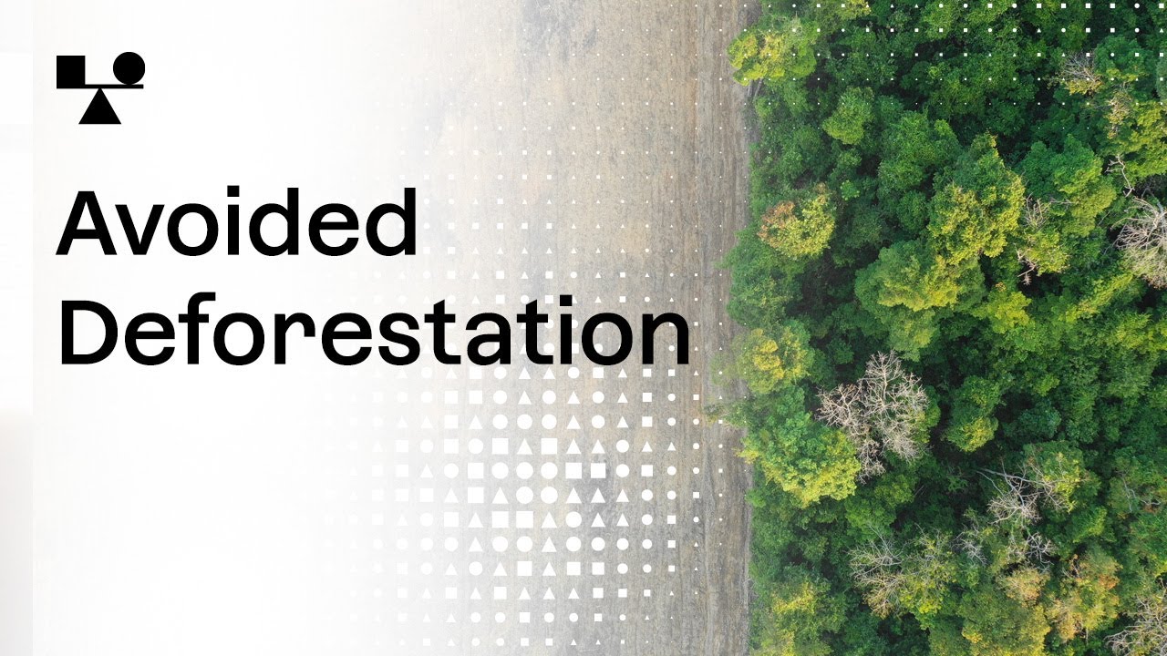 Avoided Deforestation | Sector Snapshot