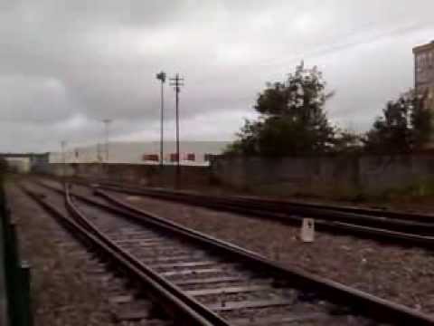 CP 1963 | 50366 | Caldas da Rainha