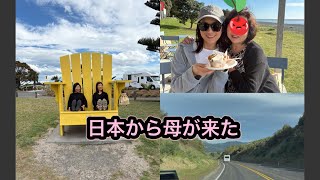 NZ生活/73歳初1人旅/ファーマーズマーケット/母の手料理🥘