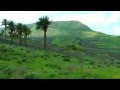 SPAIN Haria Lanzarote Hd Video