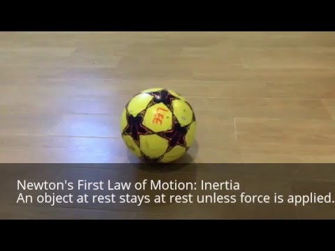Newton's 3 Laws of Physics For Kids Using Soccer