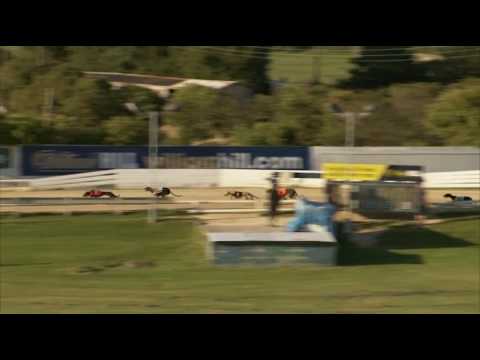 2017 WILLIAM HILL GRAND PRIX - HEAT 1 - T5 SHELLAM DELANO