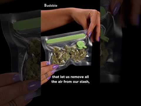 Store Weed Like a Pro with Sealz!