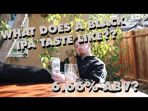 6.66% Black IPA?! Common Space Beer Review