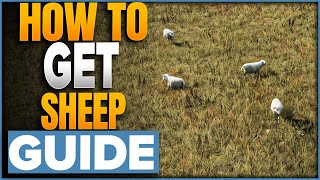 How To Get Sheep In Manor Lords