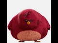 I M DA BIGGEST BIRD ‍ 10 Hours