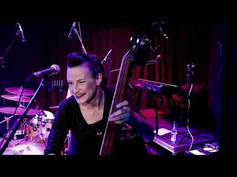 Big Fat Shakin´ - Intro + She´s too good for me (Live)