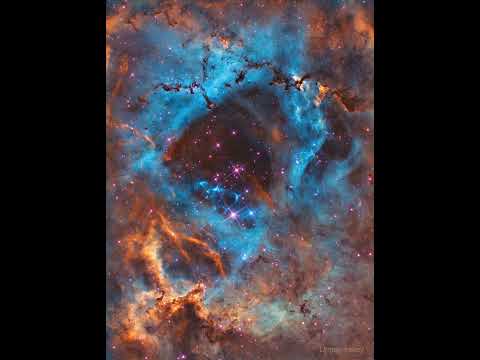 In the Heart of the Rosette Nebula #shorts