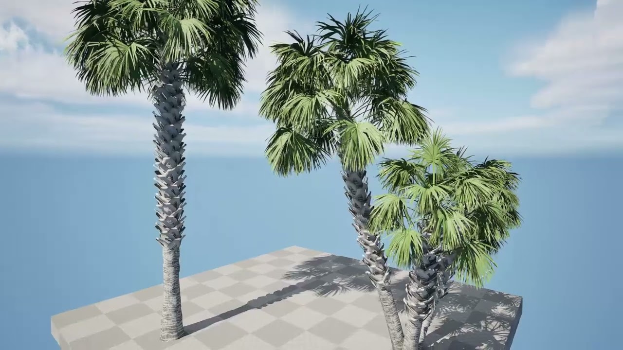 Sabal Palmetto 3D Assets 3D Model