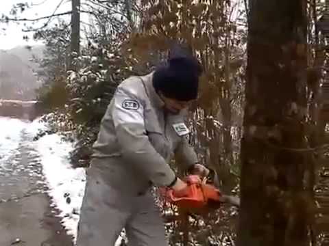 Arif Dežaga - Moja dobra pilo