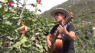 HILARIO SANCHEZ - EL VENDAVAL DEL SUR - FLORECITA