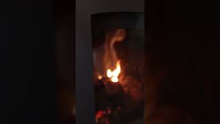 Video de Calefactor a Leña Austral 9000 Tromen