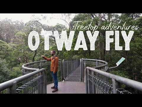 Otway Fly Treetop Adventures: Zip lining and Treetop Walk