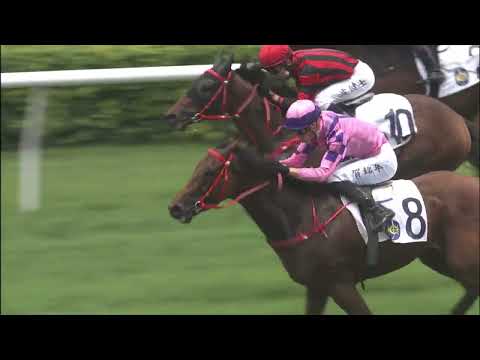 29/5/2022 (704) Running Glory -  A Hamelin