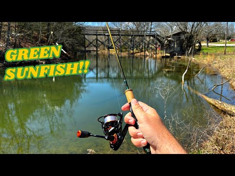 Fishing a Roadside Mill Creek is AWESOME!!