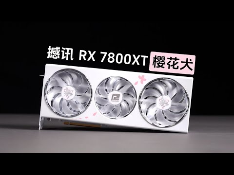 【顯卡測評分享】撼訊RX 7800XT 櫻花犬 首發評測！有顏也有料！