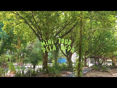 MINI TUOR PELA UFPA - UNIVERSIDADE FEDERAL DO PARÁ✨