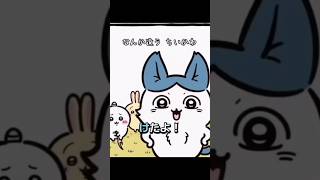 なんか違う【ちいかわ】デカワレ#ちいかわ#ハチワレ#キメラ化