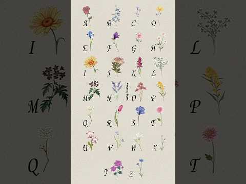 Aroob Name Status #theariesdiary #aroob #trending #shorts #trendingshorts