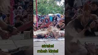 Download lagu mbah kintel atraksi #shorts mp3 Download lagu mbah kintel atraksi #shorts mp3