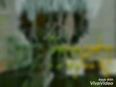 Abm BigHomieTay -Laid Back Muzik