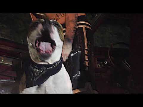 lil marcc - the gang ain’t no game (official video)