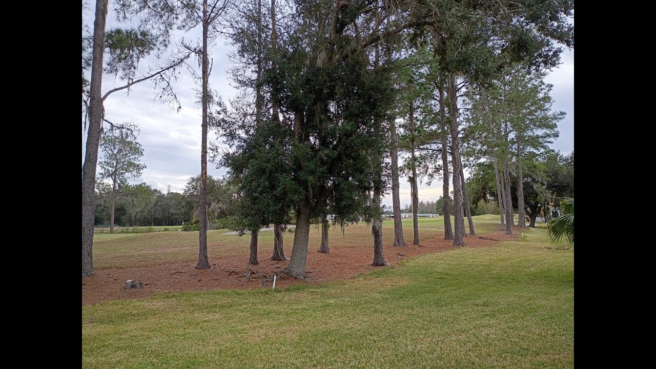 3 Bedroom Home for Sale at Cypress Lakes - Lakeland, FL