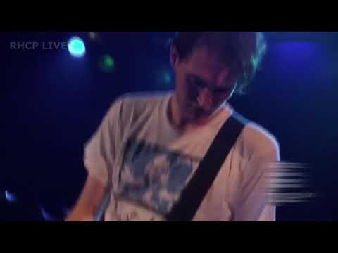 One of the best Josh Klinghoffer Californication solos!