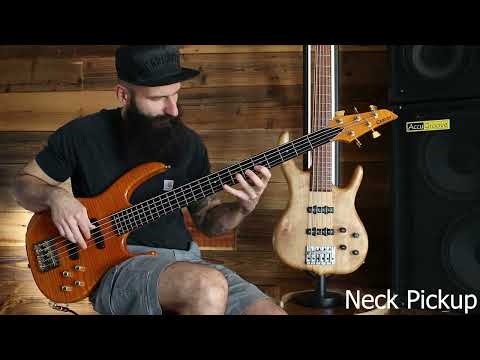 Carvin vs. Ken Smith vs. F bass vs. Fender