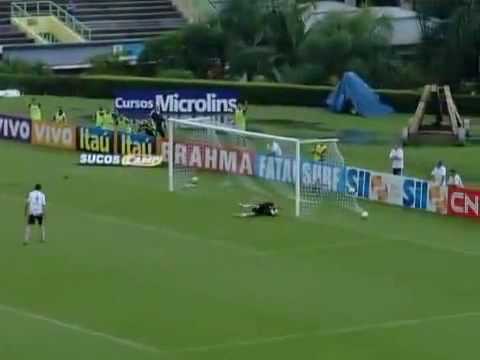 Os gols de Palmeiras 3x3 Ituano (3ª Rodada do Paulistão 2010).avi