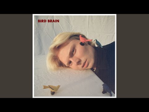 bird brain